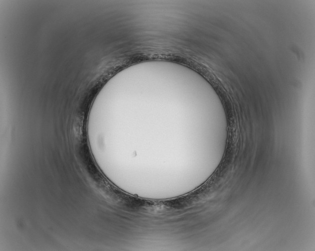X0000111430695200907131041
