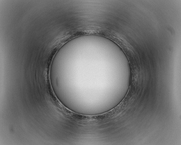 X0000111430696200907131041