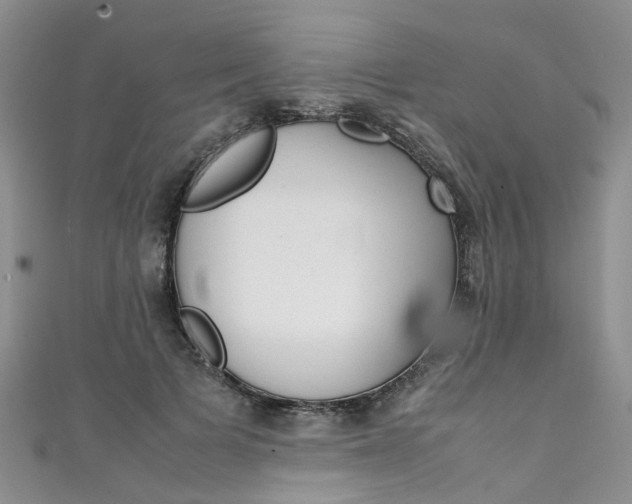 X0000111430697200907131041