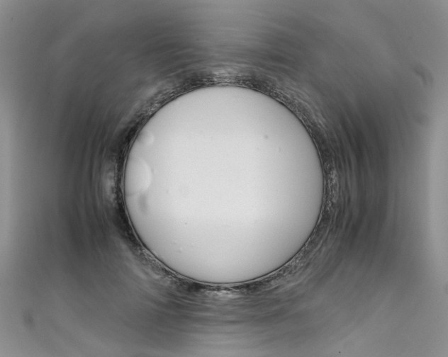 X0000111430698200907131041