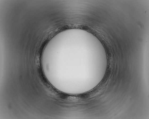 X0000111430699200907131041