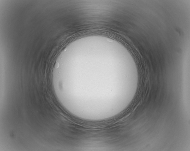 X0000111430701200907131041