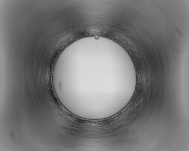 X0000111430702200907131041