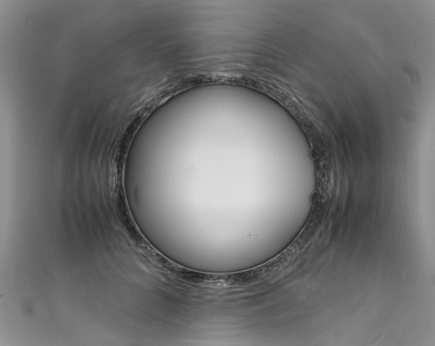 X0000111430704200907131040