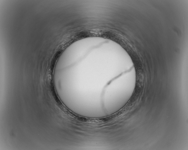 X0000111430707200907131040