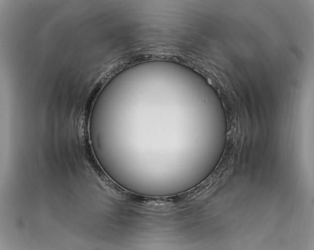 X0000111430708200907131040