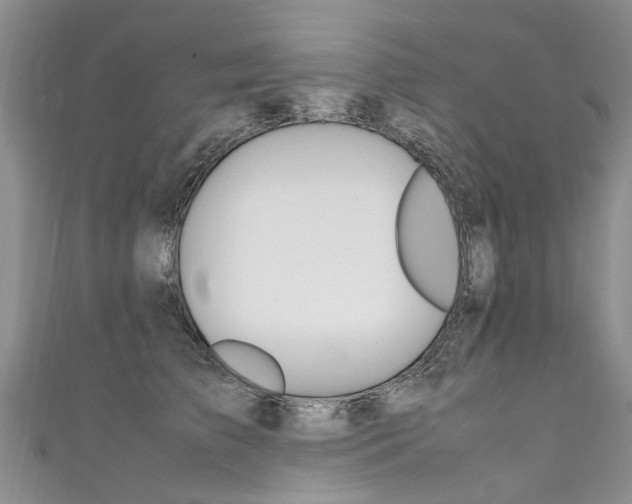 X0000111430709200907131040