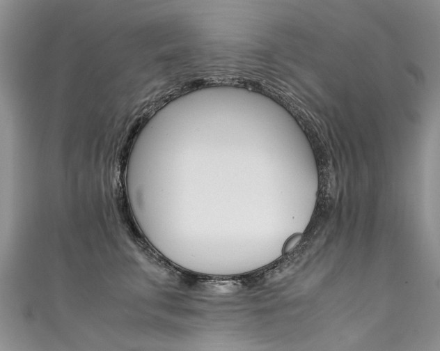 X0000111430711200907131040