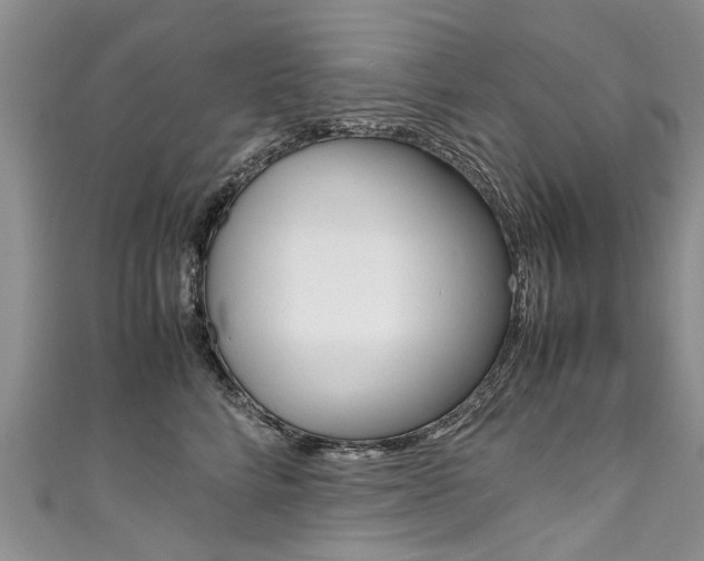 X0000111430712200907131040