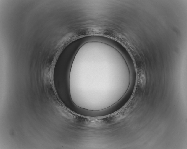 X0000111430716200907131040