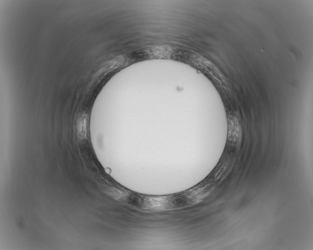 X0000111430717200907131040