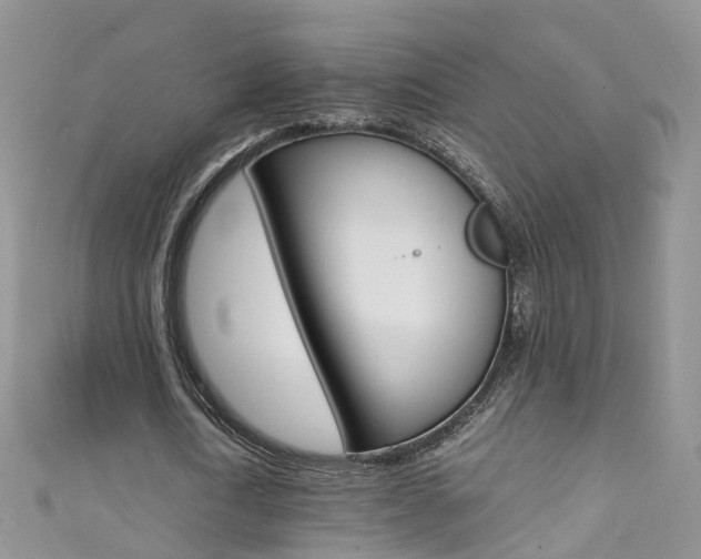 X0000111430722200907131040