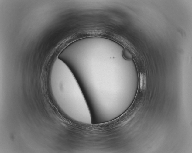X0000111430723200907131040