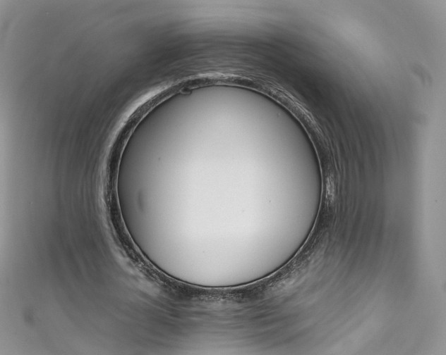 X0000111430724200907131040