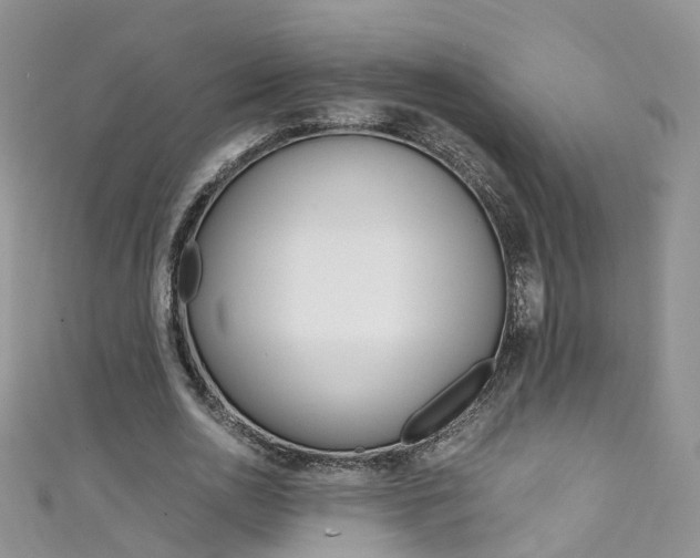 X0000111430726200907131040