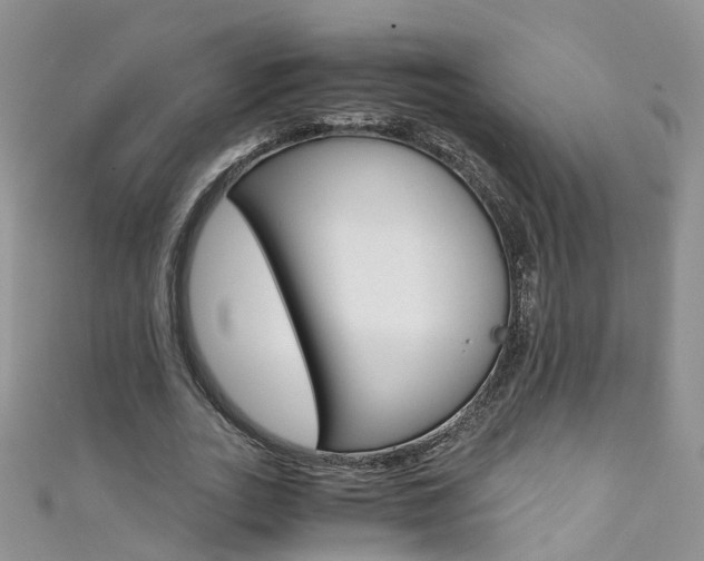 X0000111430727200907131040