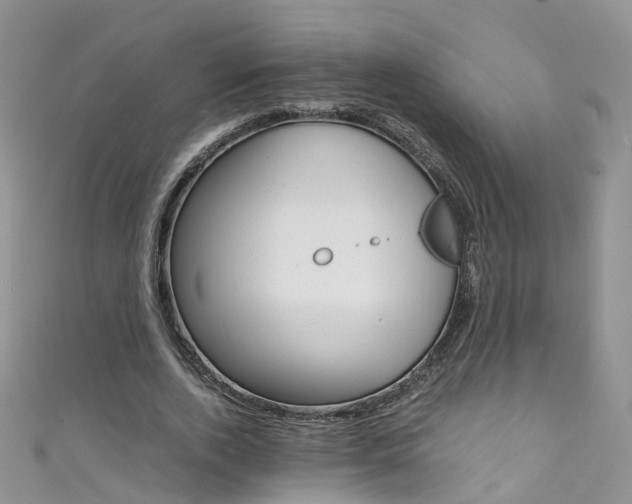 X0000111430728200907131040