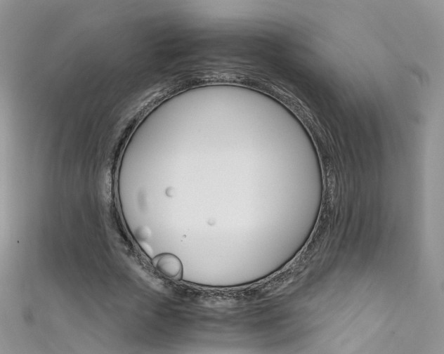 X0000111430729200907131040