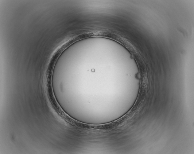 X0000111430730200907131040