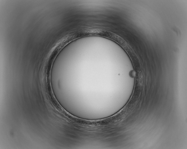 X0000111430731200907131040