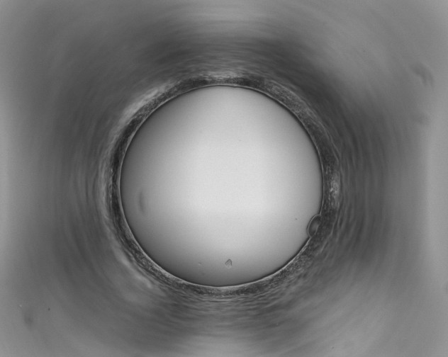 X0000111430732200907131040