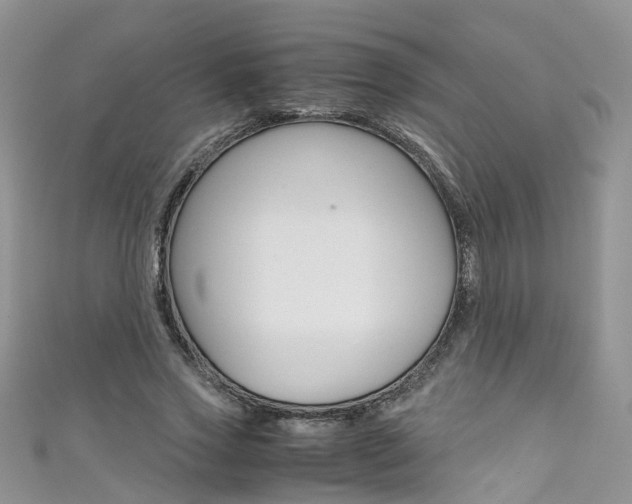 X0000111430733200907131040