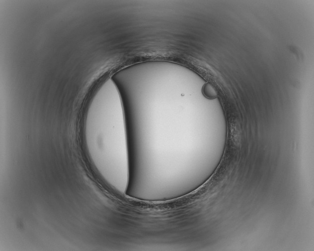X0000111430735200907131040