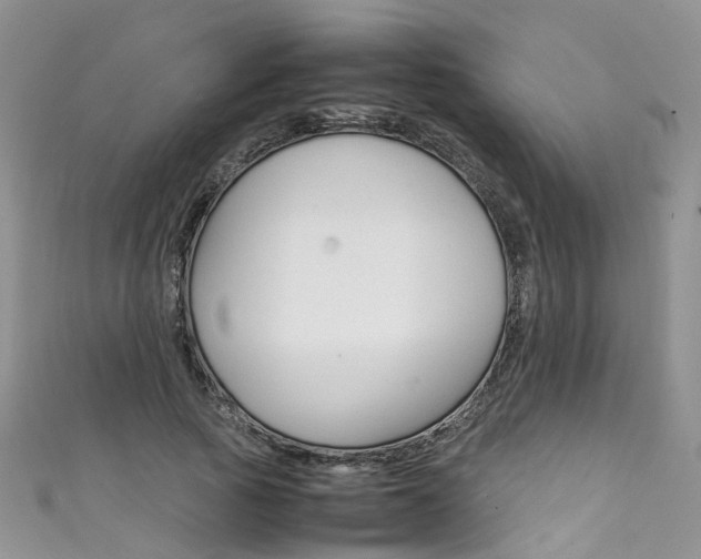 X0000111430737200907131040