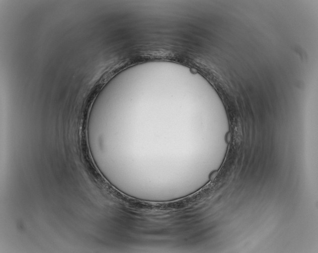 X0000111430739200907131040
