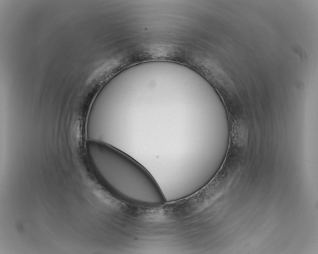 X0000111430740200907131040