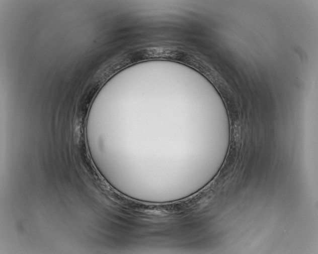 X0000111430741200907131040