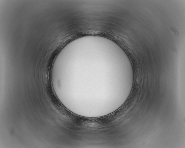 X0000111430743200907131040