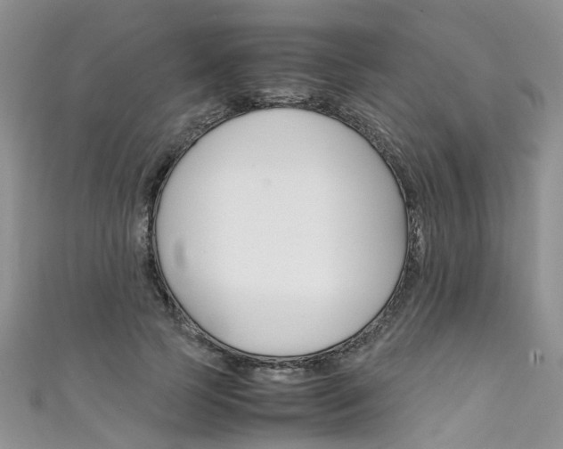X0000111430745200907131040