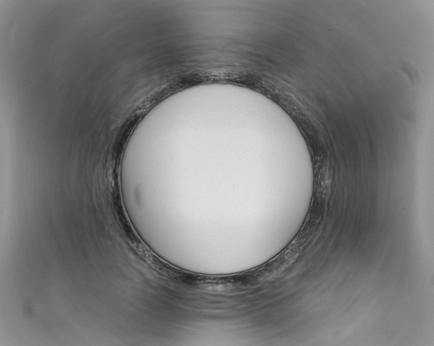 X0000111430746200907131040
