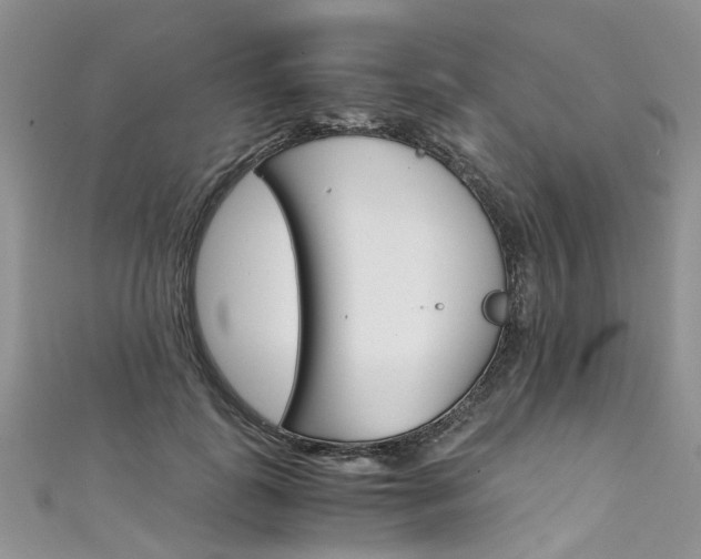 X0000111430747200907131040