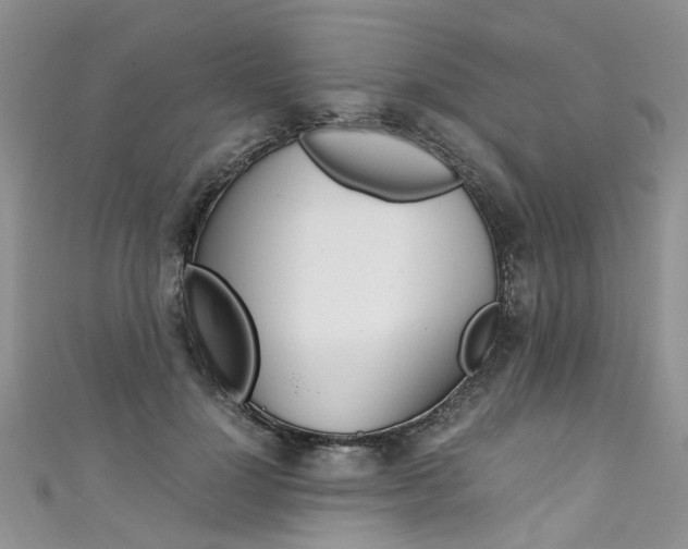 X0000111430748200907131040
