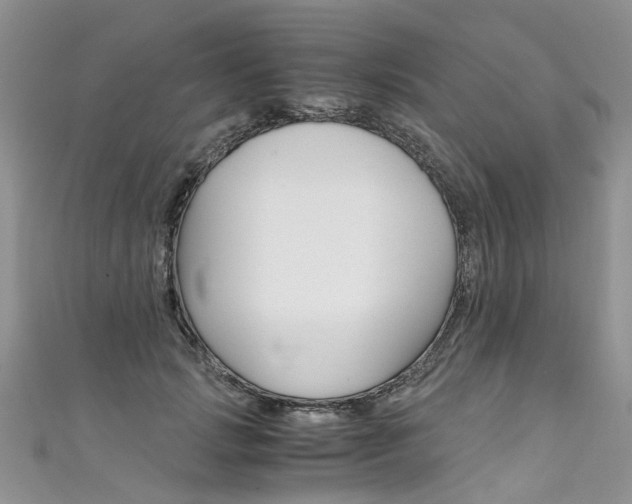 X0000111430749200907131040