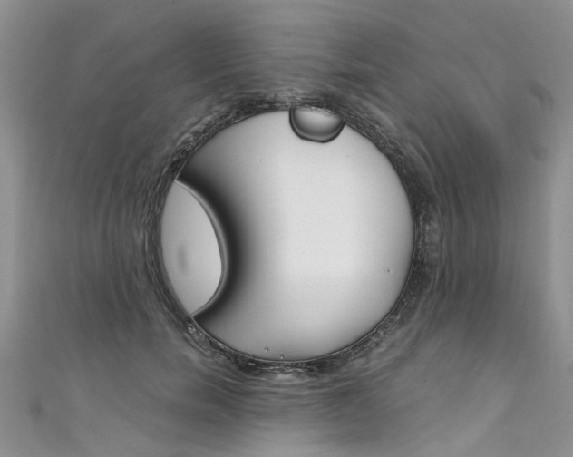 X0000111430750200907131040