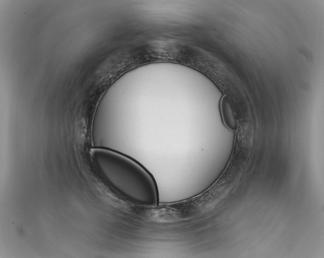 X0000111430752200907131040