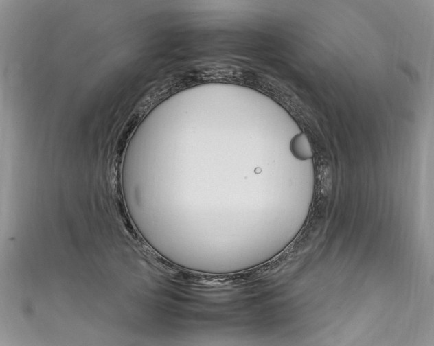 X0000111430753200907131040
