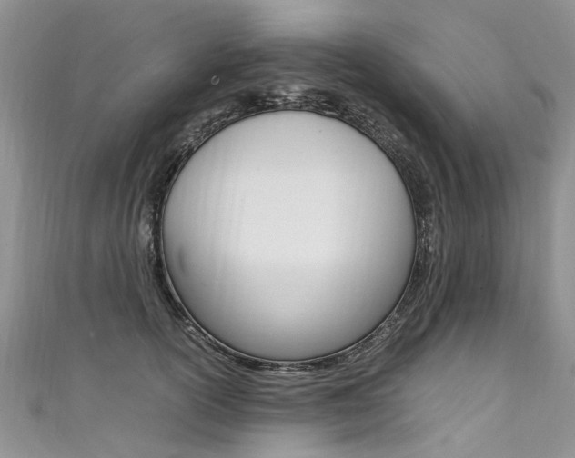 X0000111430754200907131040