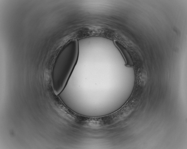 X0000111430756200907131040