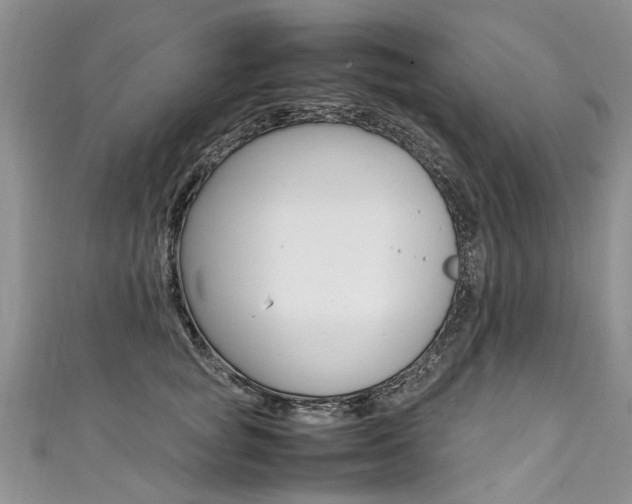 X0000111430757200907131040
