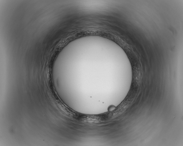 X0000111430758200907131040