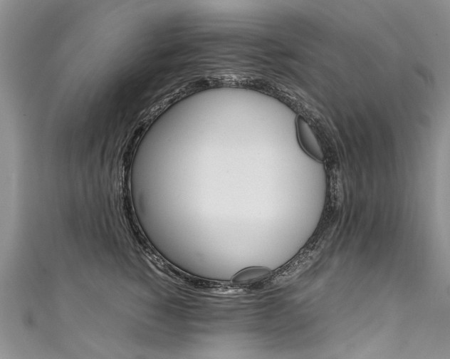X0000111430760200907131040