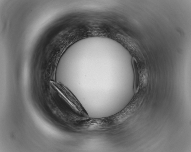 X0000111430764200907131040