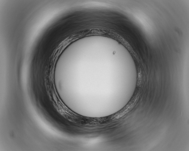 X0000111430765200907131040