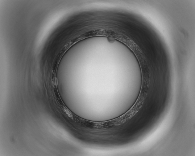 X0000111430766200907131040