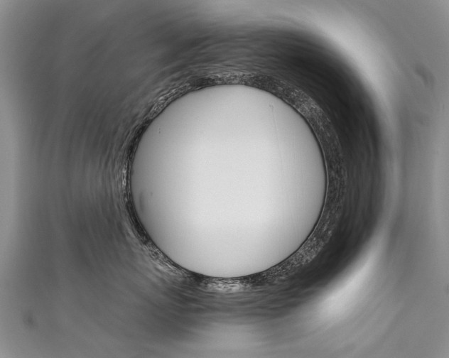 X0000111430767200907131040