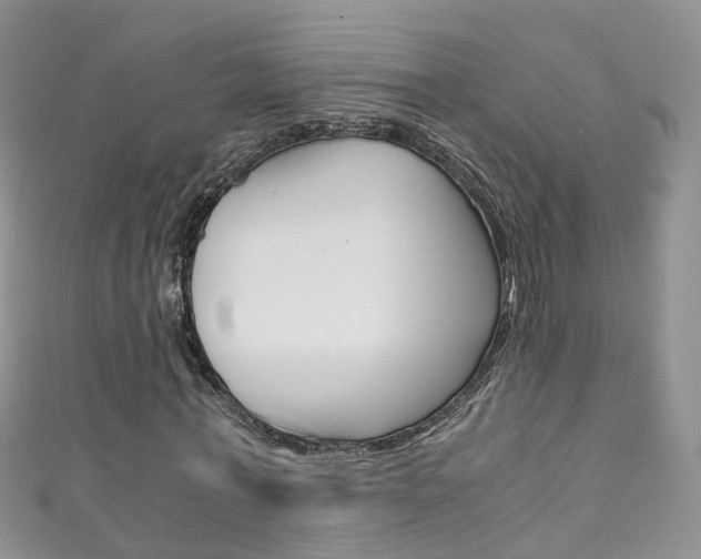 X0000111430771200907131039